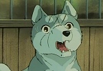 Ginga Nagareboshi Gin picture