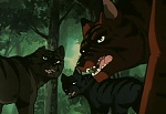 Ginga Nagareboshi Gin picture