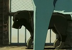 Ginga Nagareboshi Gin picture