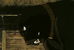 Ginga Nagareboshi Gin picture