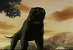 Ginga Nagareboshi Gin picture