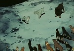 Ginga : Crimson Cherryblossom! The Strongest One of All! picture