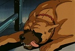 Ginga Nagareboshi Gin picture