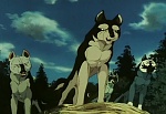 Ginga Nagareboshi Gin picture