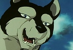 Ginga Nagareboshi Gin picture