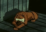 Ginga Nagareboshi Gin picture