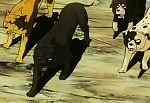 Ginga Nagareboshi Gin picture