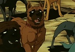 Ginga : The Tears Arrive! A Close Companion Meets Their Death! picture