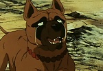 Ginga Nagareboshi Gin picture