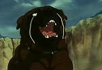 Ginga : The Tears Arrive! A Close Companion Meets Their Death! picture