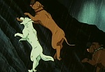 Ginga Nagareboshi Gin picture
