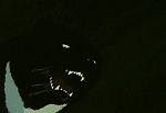 Ginga Nagareboshi Gin picture