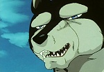 Ginga Nagareboshi Gin picture