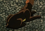 Ginga Nagareboshi Gin picture