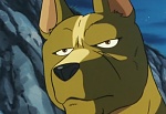 Ginga Nagareboshi Gin picture