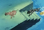 Ginga Nagareboshi Gin picture