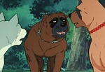 Ginga Nagareboshi Gin picture