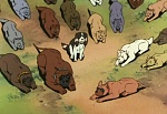 Ginga Nagareboshi Gin picture