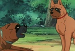 Ginga Nagareboshi Gin picture