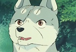 Ginga Nagareboshi Gin picture