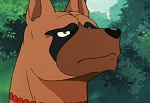 Ginga Nagareboshi Gin picture