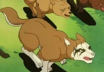 Ginga Nagareboshi Gin picture