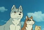 Ginga Nagareboshi Gin picture