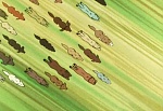 Ginga Nagareboshi Gin picture