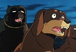 Ginga Nagareboshi Gin picture