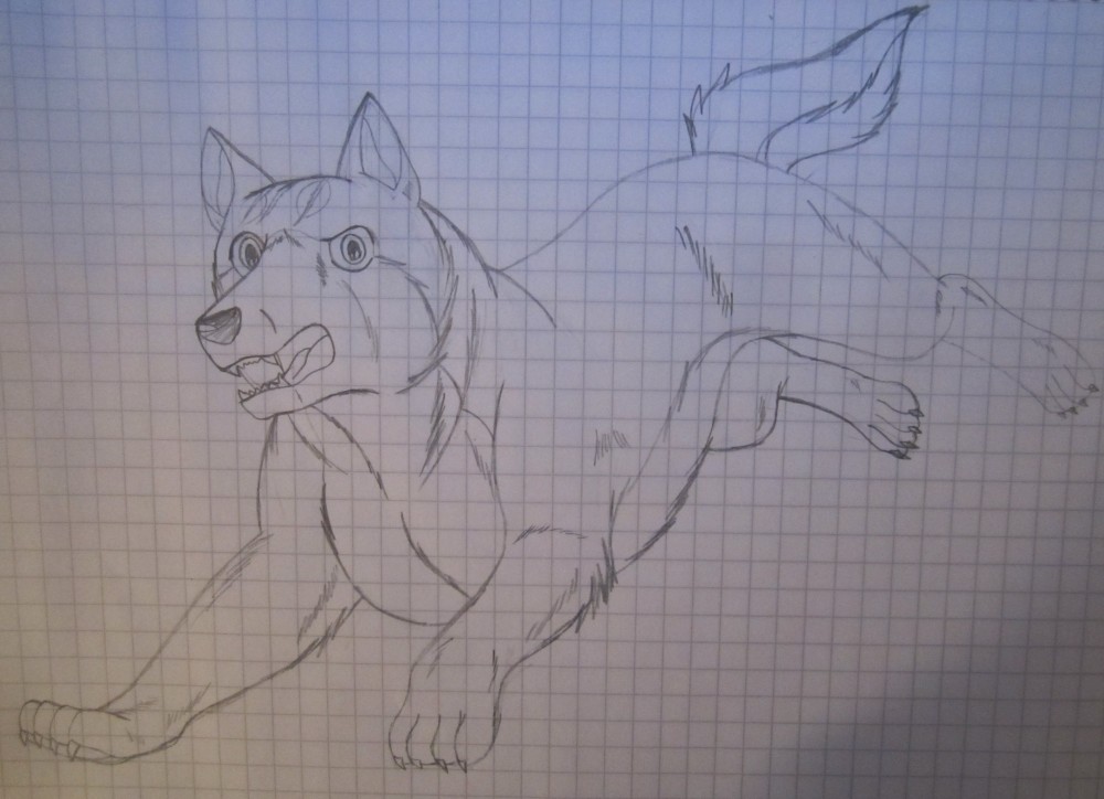 Gin sketch