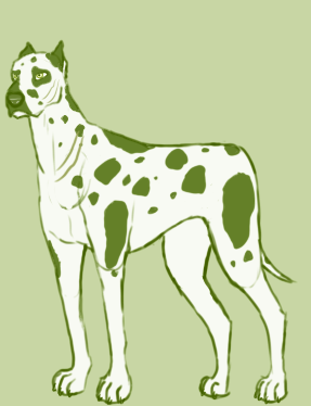 The Big Dog