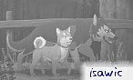 isawic