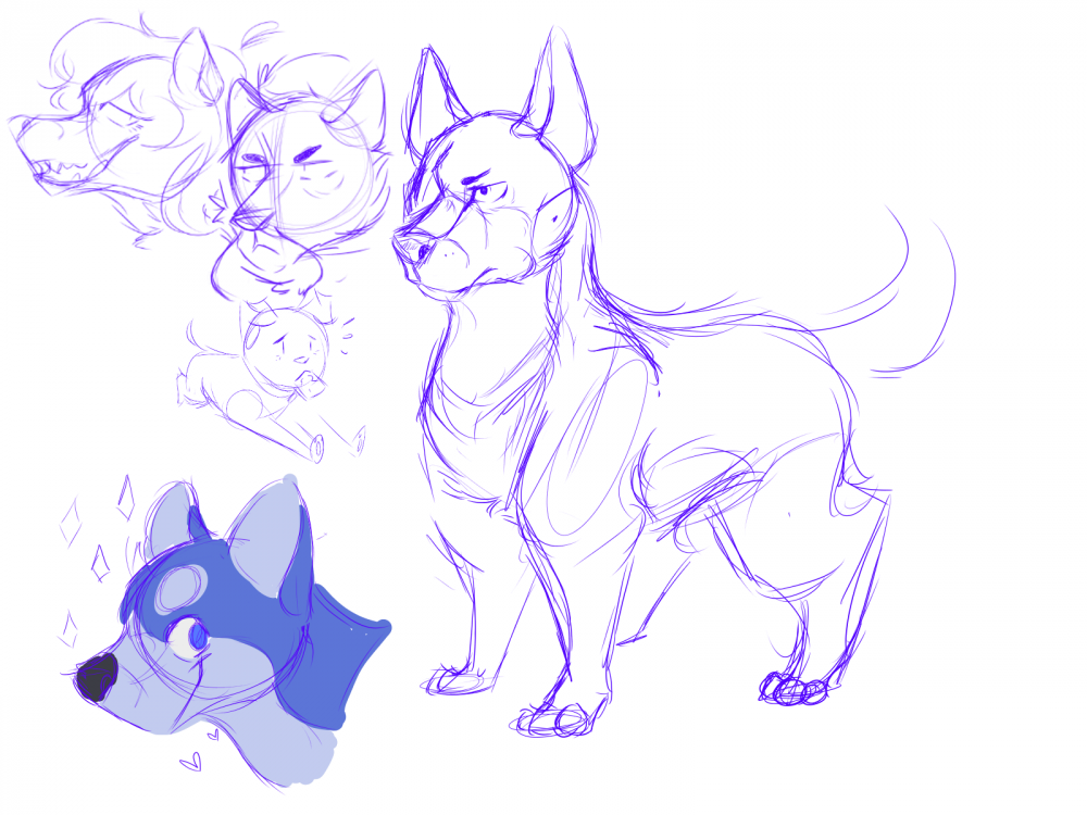 doodles