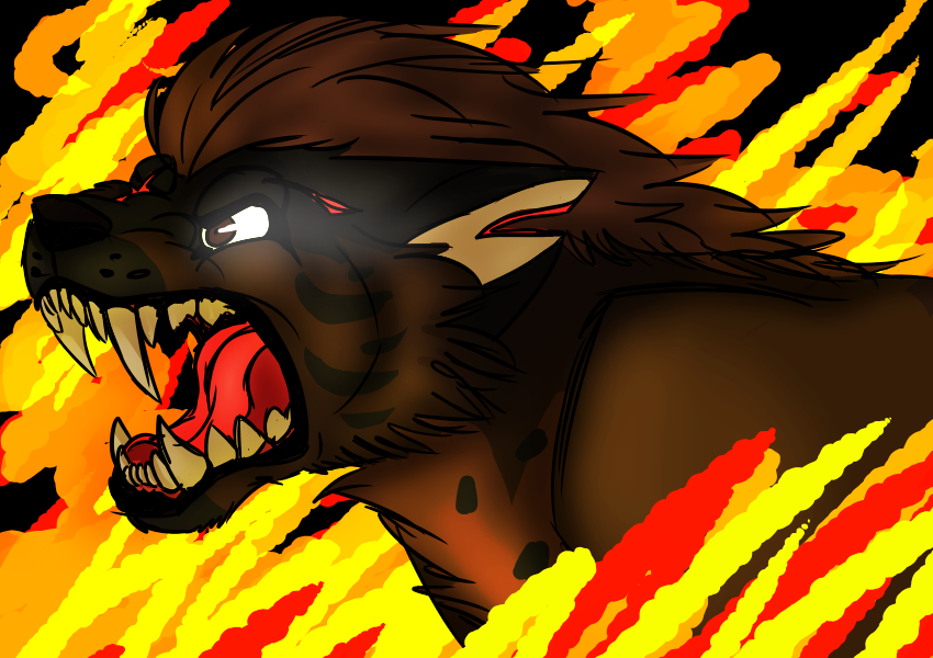Burn