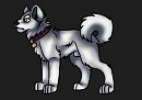 Shiro
