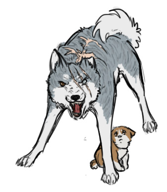 Insanity Joe
