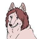 My favourite sparkledog