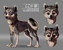 Gin Redesign