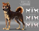 Riki Redesign