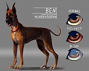 Ben Redesign
