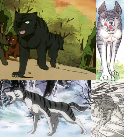 Detail Kurotora