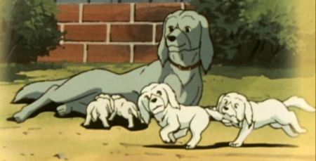Detail Cross' pups