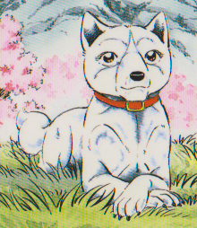 Detail Koyuki