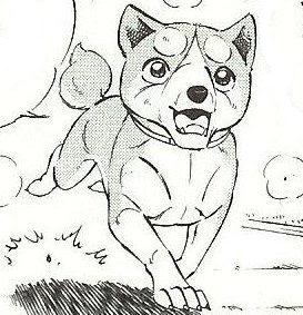 Detail Koshiro