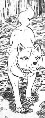 Detail Yamabuki