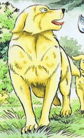 Detail Lenny