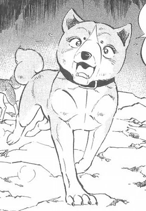 Detail Chako