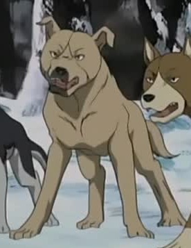 Detail Hachi