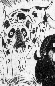 Detail Bess