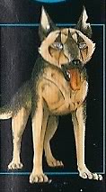 Detail Bozlev